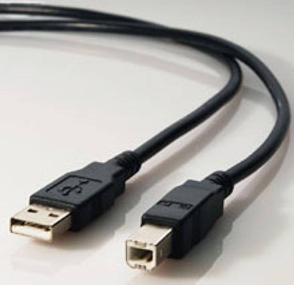 USB A-B Cable, 10 Feet