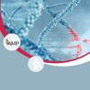 Molecular Classification and Predictive Biomarkers in Endometrial Carcinoma
