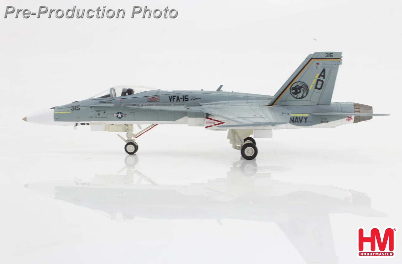 コレクション 18C Hobby Master F/A-18C 