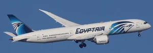Phoenix Models Egypt Air A321neo SU-GFR PH4MSR2473 1:400