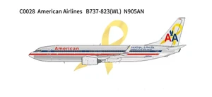 Panda Models American Airlines B737-823(WL) N905AN C0028 1:400