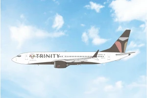 Phoenix Model Trinity Airways Boeing 737 MAX 8 Reg: HL8754 12141 Scale 1:400