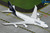 Gemini Jets Lufthansa B747-400 D-ABVY GJDLH2208 1:400