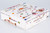 NG Models Condor 757-200 Rizzi Bird livery D-ABNF 53205 1:400