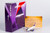 West Air A319 B-6412  49036 1:400