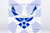 USA - Air Force C-40B (737-700 BBJ) 02-0042 white fuselage 05008 1:200