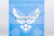 USA - Air Force C-40B (737-700 BBJ) 01-0015  05016 1:200