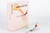 Asiana Airlines Airbus A321 HL8039 13127 Scale 1:400