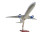 United Airlines Boeing 777-300 SKG41410 Scale: 1:100
