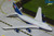 Gemini200 United Airlines B747SP N145UA "battleship" livery G2UAL1160 Scale 1:200