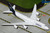 Gemini Jets Lufthansa B747-8 Reg: D-ABYA GJDLH2209 Scale 1:400