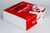 NG Models Hainan Airlines Boeing 737-800 Reg: B-1141 08079 1:200