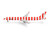 Condor 757-300 Passion HE538893 Scale 1:500