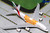 Gemini Jets EMIRATES A380-800 (Orange Expo Logo) A6-EOU GJUAE1815 1:400