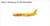 Panda Models DHL B737-400 N309GT 202031 1:400