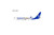 NG Model Copa Airlines "ConnectMiles" livery 737-800/w HP-1849CMP 58109 1:400