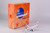 NG Models Japan Airlines (JAL) oneworld 787-9 Dreamliner JA861J 55083 1:400