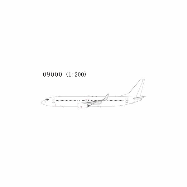 NG Model Blank Model 737-900/w N/A with stand 09000 1:200