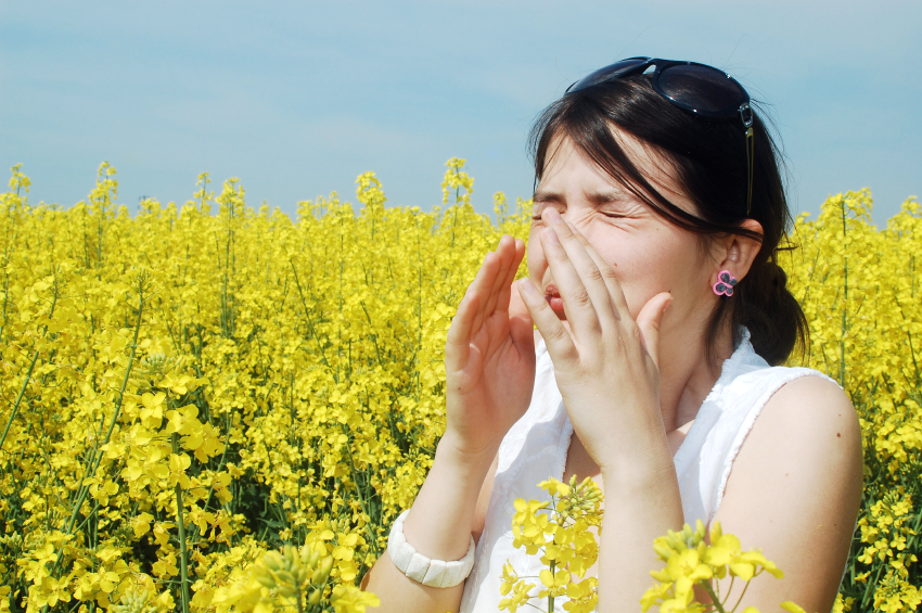 hayfever-sneezing.jpg