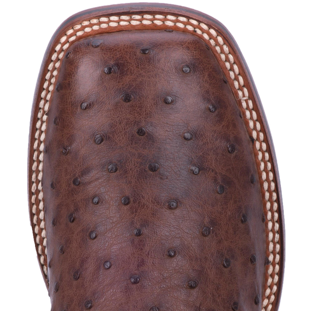 DAN POST ALAMOSA FULL QUILL OSTRICH BOOTS DP3875