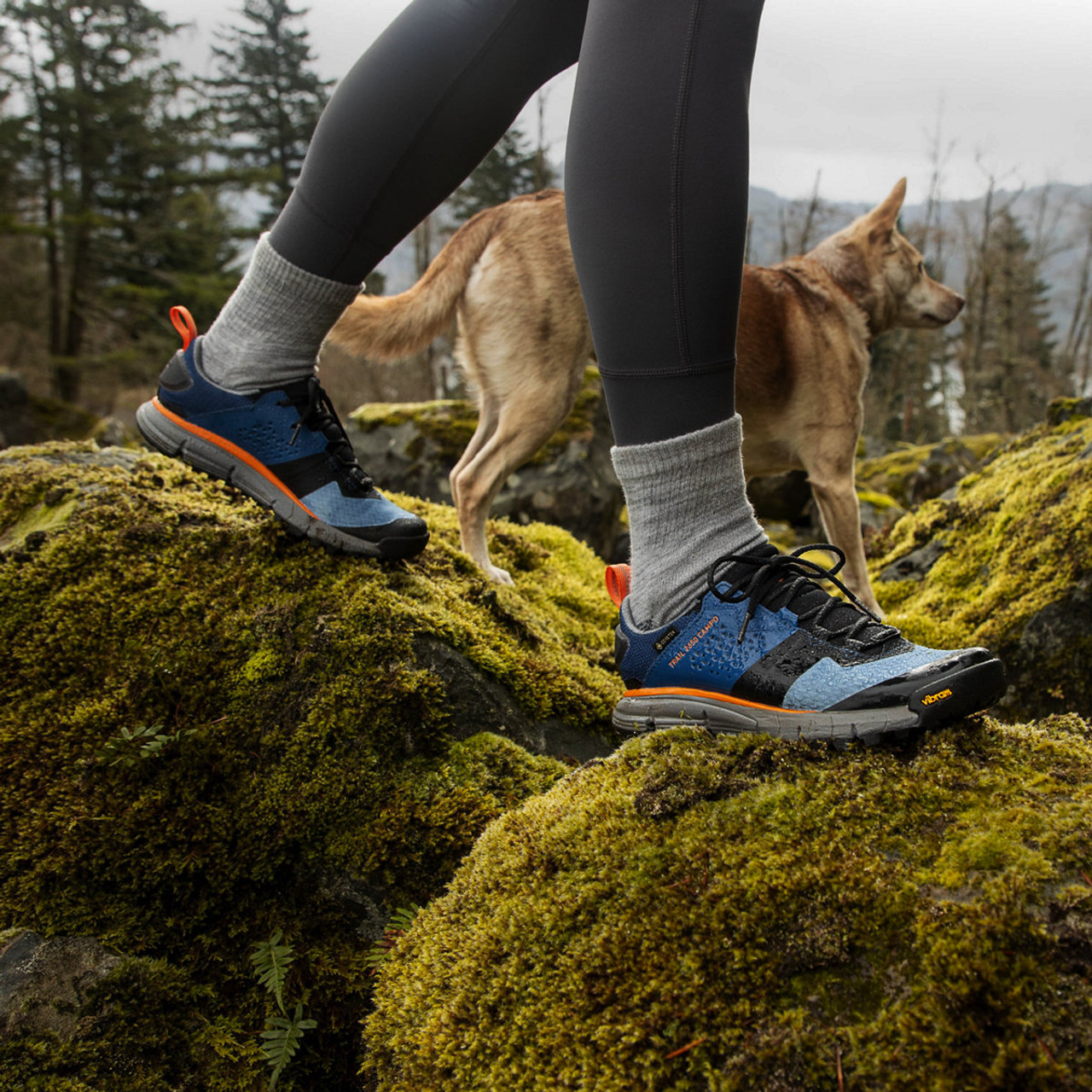 DANNER® TRAIL 2650 CAMPO GTX WOMEN'S SIZING BLUE/ORANGE HIKE BOOTS 68966