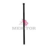 TDA R303196, Suspension Hardware - Spring Center Bolt