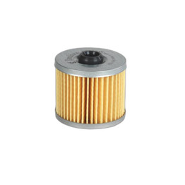 DN/P550745 - Fuel Cartridge Filter