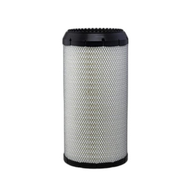 DN/P617643 - Air Filter Primary