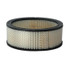 DN P524351, Air Filter Gas