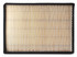 FG AF55787, Air Filter