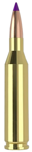 Nosler 243Win 70gr Ballistic Tip Varmint 20