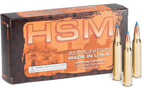 HSM 204Ruger 32gr BlitzKing 20 Per Box/20