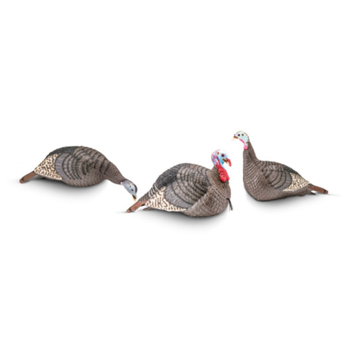 Hunter's Specialties Strut Lite Decoy Flock Turkey Pack - STR100006