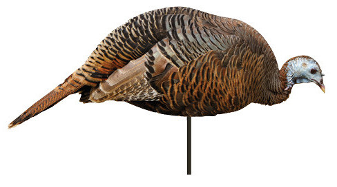 Montana Decoy TKY Dinner Belle Feeding HEN 2D