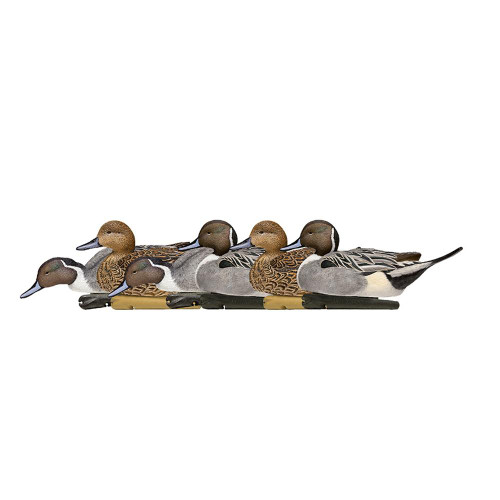 Avian X Topflight Pintails Duck Decoys 6 Count - AVX-AVX8082