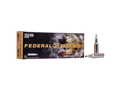 Terminal Ascent Ammunition - 300 Wsm, 200 Gr, 2810 Fps, 20-bx