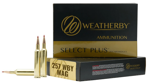 257WBY 115GR BST257 WBY Mag