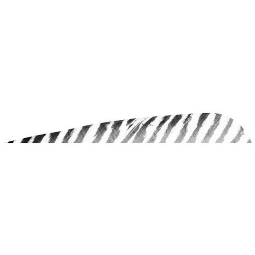 Gateway Barred Feathers White 5 in. RW 50 Pack