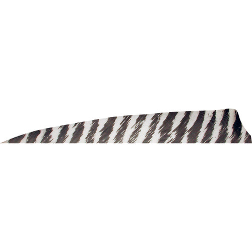 Gateway Shield Cut Feathers Barred White 4" RW 50 Pack - 400RSBWH-50