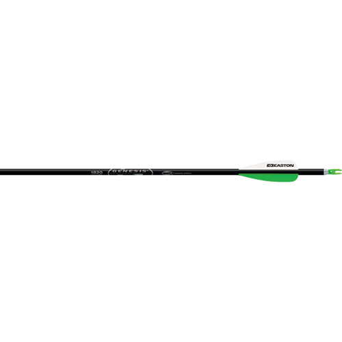 Easton Genesis Arrows 3 in. Vanes Silver 6 Pack