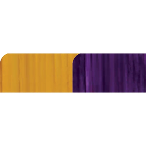 First String Genesis and Cable Set Yellow/Purple - 5A25-AG-0110156