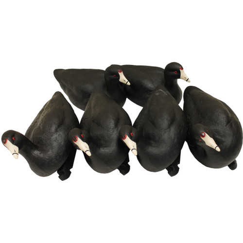 Mojo Coot Confidence Decoys 6 Pack