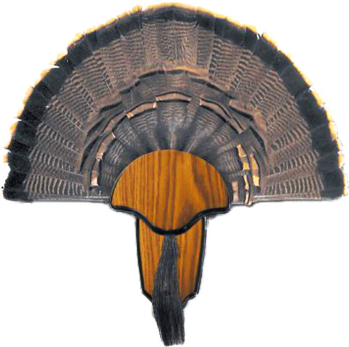 Hunter's Specialties HS Strut Mounting Kit Turkey Tail & Beard