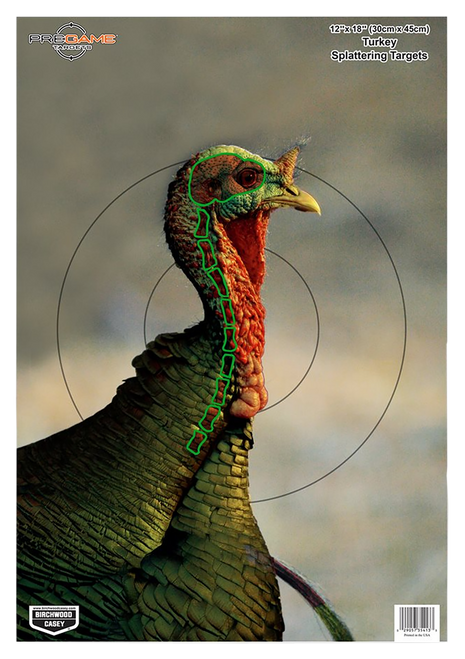 Birchwood Casey Pregame Turkey Paper Hanging Universal 12" x 18" Multi-Color 8 Per Pkg