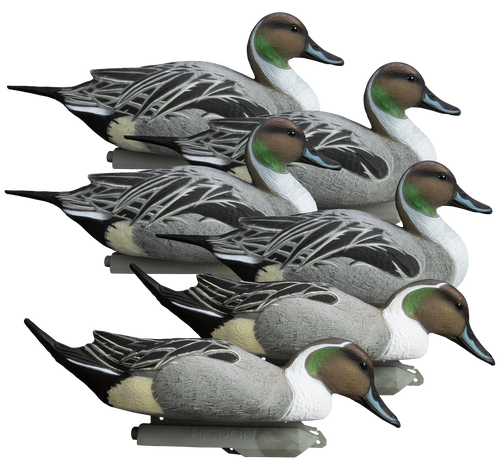 Higdon Outdoors Battleship Pintail Pintail Species Multi