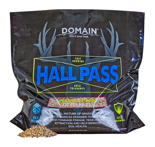 DOMAIN HPFP20      HALL PASS
