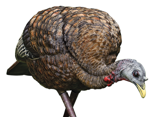 Avian X LCD Feeder Hen Turkey Species