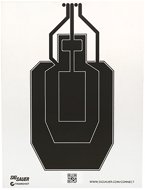 Sig Sauer T300 Replacement Target USPSA Hanging
