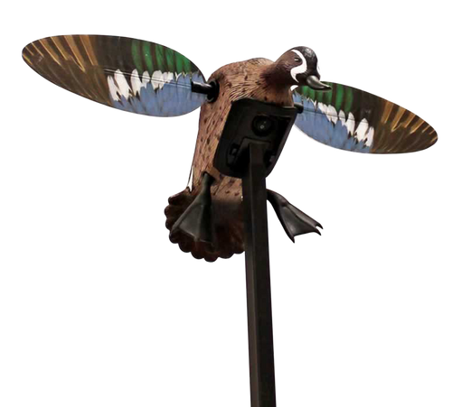 Mojo Outdoors Elite Series Blue Wing Teal