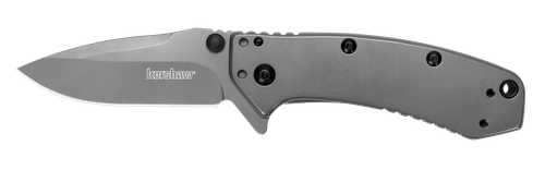 Kershaw Cryo 2.75" Folding Drop Point Plain Gray TiN 8Cr13MoV Stainless Blade PVD Steel Handle Includes Pocket Clip